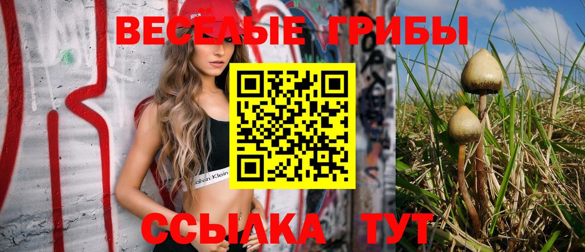 Галлюциногенные грибы Cubensis Волгодонск