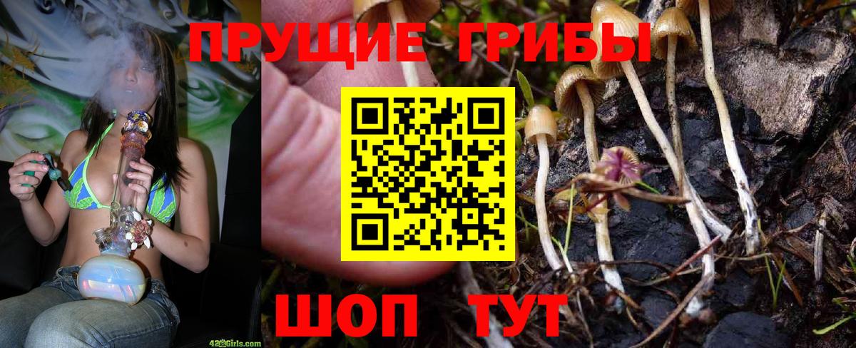 Волгодонск  где продают наркотики  Вход с VPN  Галлюциногенные грибы прущие грибы  Псилоцибиновые грибы прущие грибы 